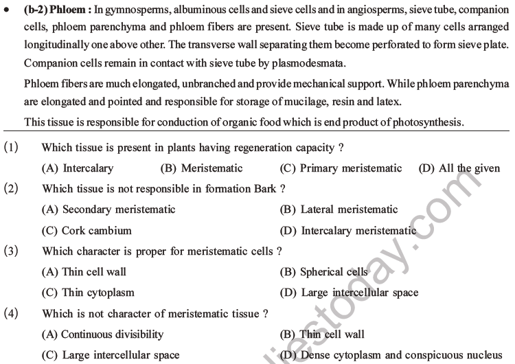 NEET Biology Plant Anatomy Plant Tissues MCQs Set A-1
