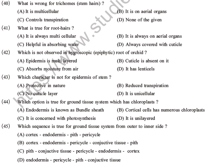 NEET Biology Plant Anatomy Plant Tissues MCQs Set A-10