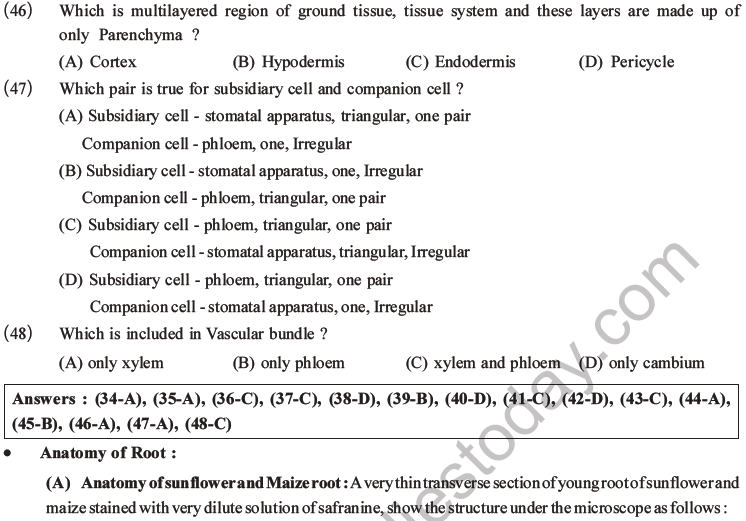 NEET Biology Plant Anatomy Plant Tissues MCQs Set A-11