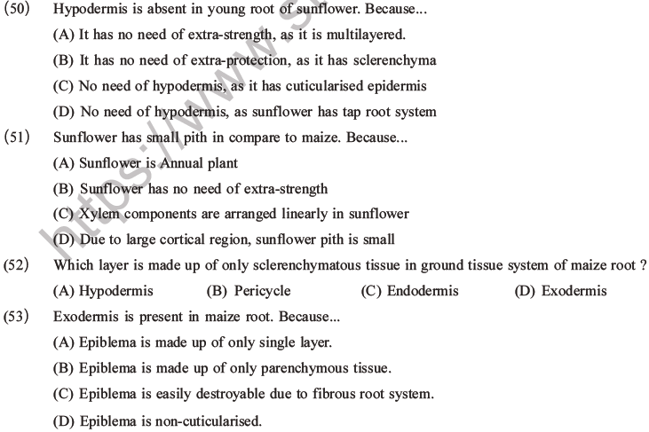 NEET Biology Plant Anatomy Plant Tissues MCQs Set A-14