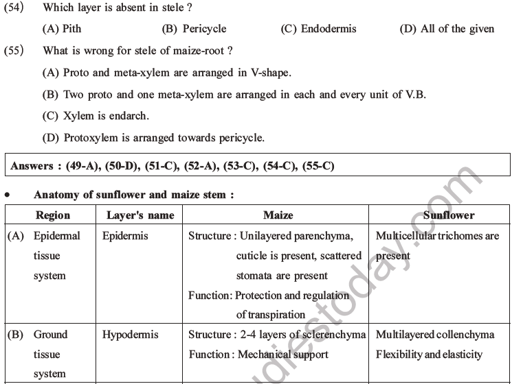 NEET Biology Plant Anatomy Plant Tissues MCQs Set A-15