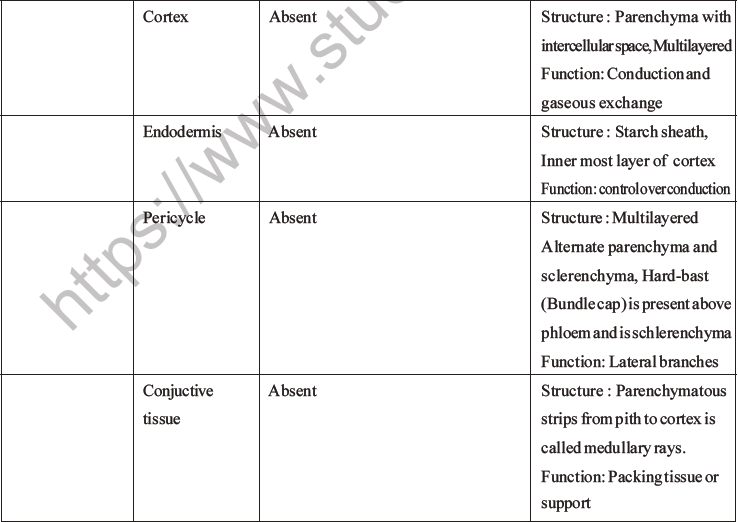 NEET Biology Plant Anatomy Plant Tissues MCQs Set A-16