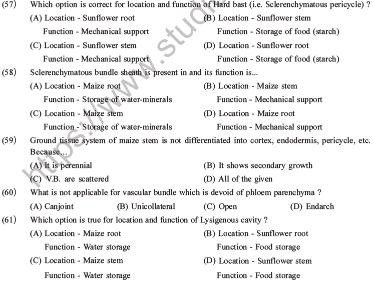 NEET Biology Plant Anatomy Plant Tissues MCQs Set A-18