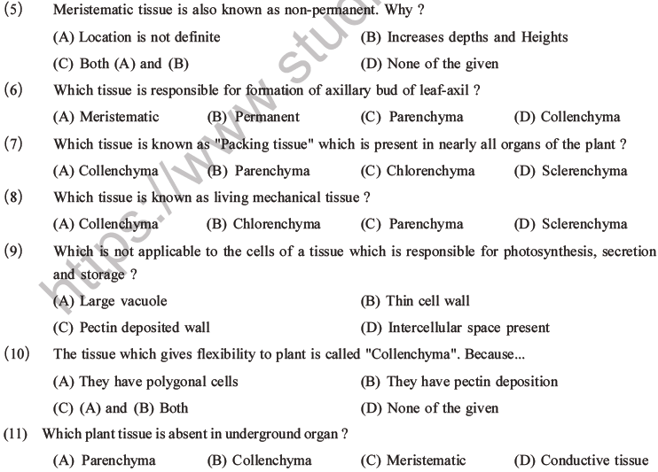 NEET Biology Plant Anatomy Plant Tissues MCQs Set A-2