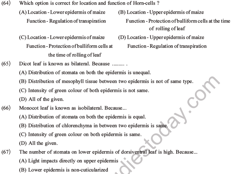 NEET Biology Plant Anatomy Plant Tissues MCQs Set A-21