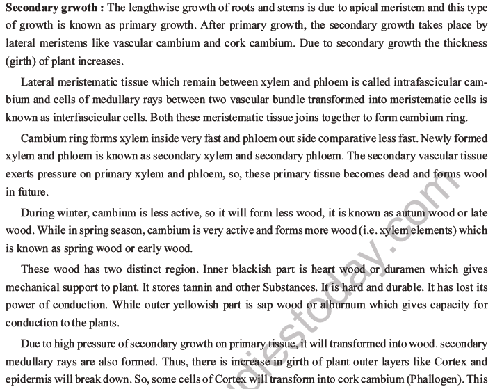 NEET Biology Plant Anatomy Plant Tissues MCQs Set A-23