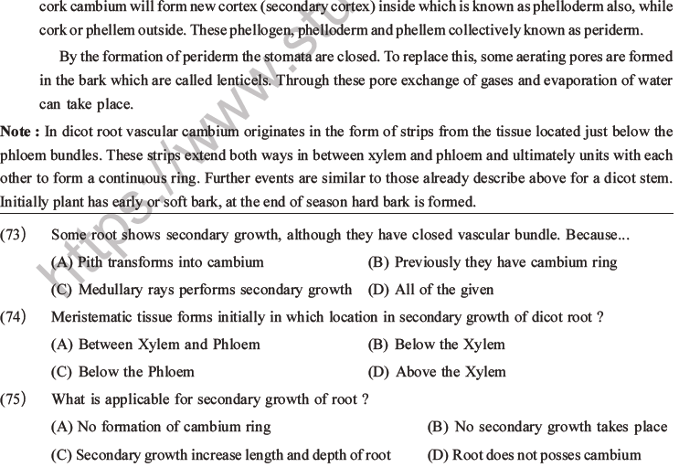 NEET Biology Plant Anatomy Plant Tissues MCQs Set A-24