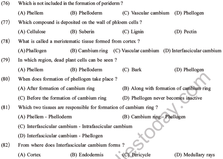 NEET Biology Plant Anatomy Plant Tissues MCQs Set A-25