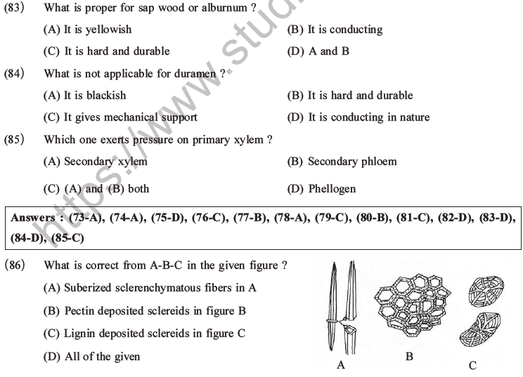 NEET Biology Plant Anatomy Plant Tissues MCQs Set A-26