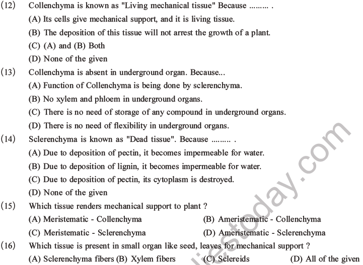 NEET Biology Plant Anatomy Plant Tissues MCQs Set A-3