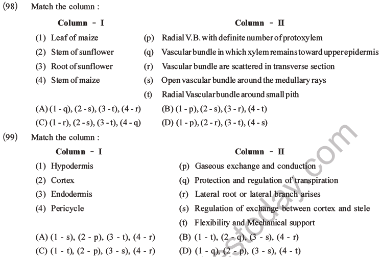 NEET Biology Plant Anatomy Plant Tissues MCQs Set A-32