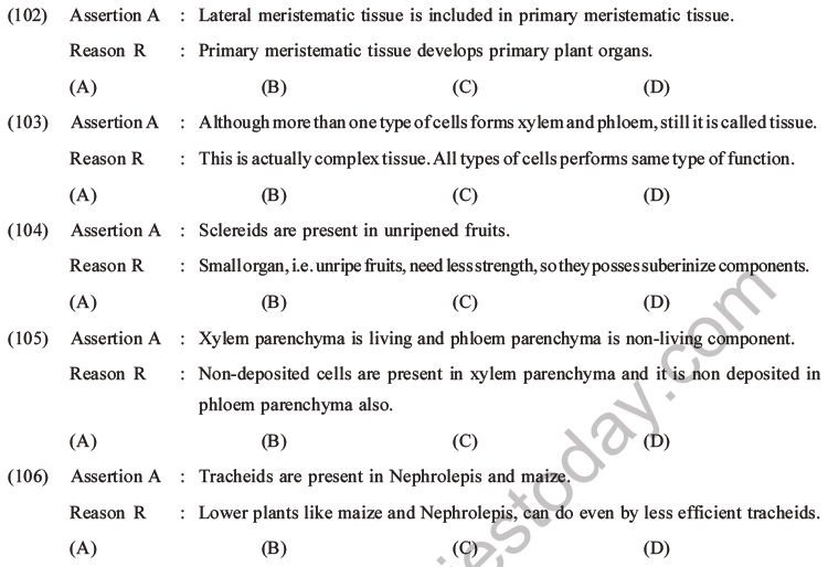 NEET Biology Plant Anatomy Plant Tissues MCQs Set A-34