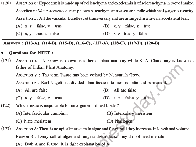 NEET Biology Plant Anatomy Plant Tissues MCQs Set A-38