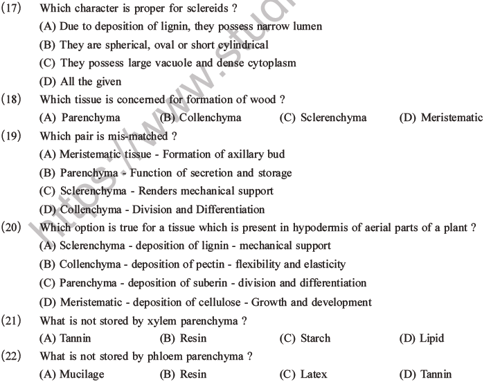 NEET Biology Plant Anatomy Plant Tissues MCQs Set A-4