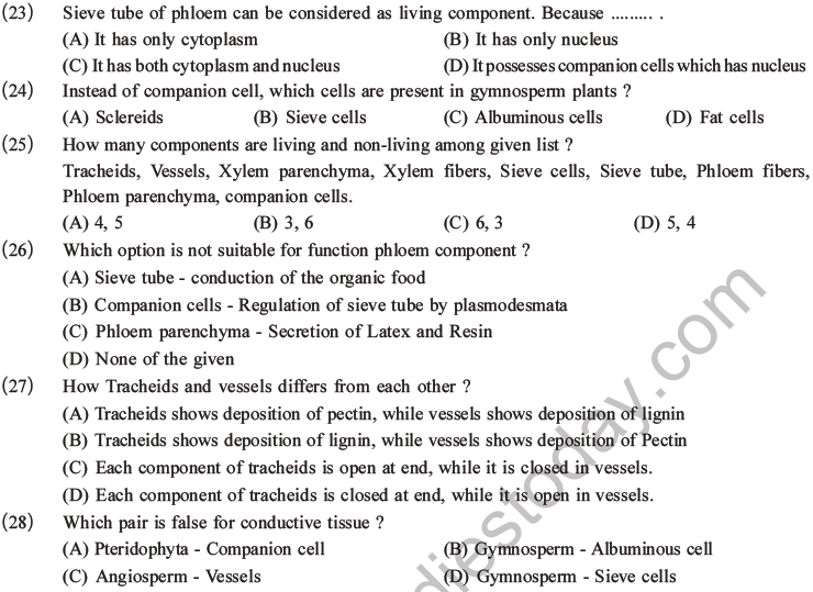 NEET Biology Plant Anatomy Plant Tissues MCQs Set A-5