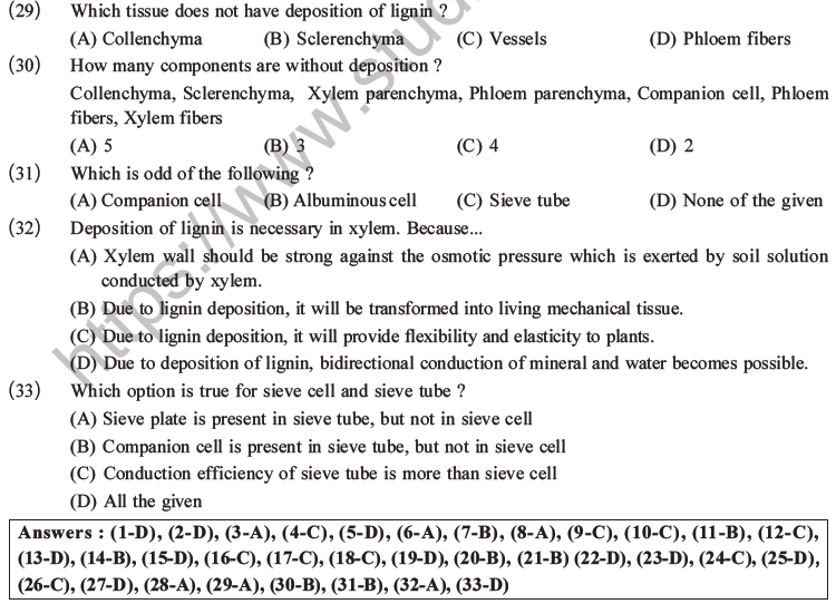 NEET Biology Plant Anatomy Plant Tissues MCQs Set A-6