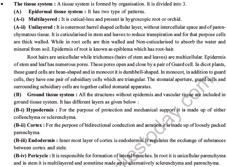 NEET Biology Plant Anatomy Plant Tissues MCQs Set A-7