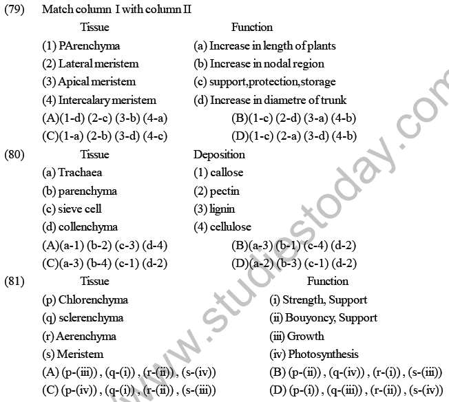 NEET Biology Plant Anatomy Plant Tissues MCQs Set B-