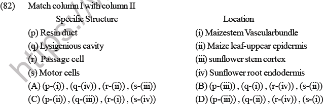 NEET Biology Plant Anatomy Plant Tissues MCQs Set B-1