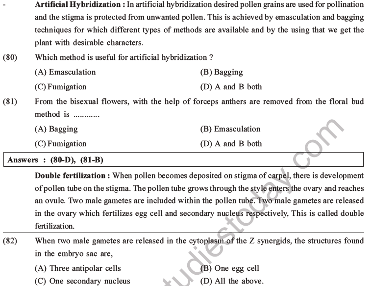 NEET Biology Reproduction in Flowering Plants MCQs Set A-13