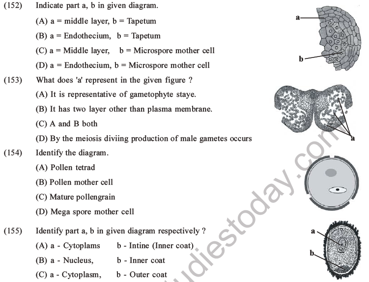 NEET Biology Reproduction in Flowering Plants MCQs Set A-29