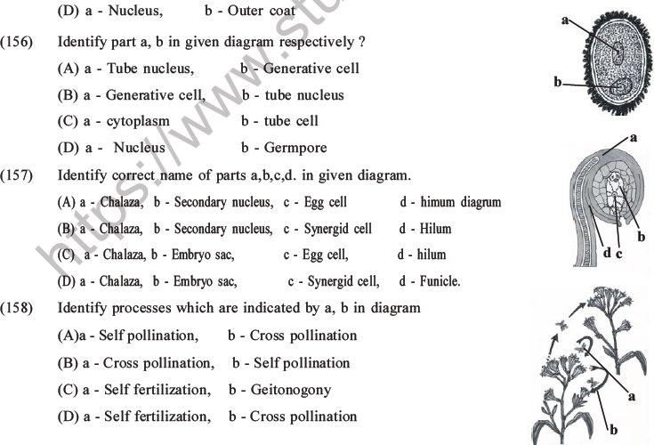 NEET Biology Reproduction in Flowering Plants MCQs Set A-30