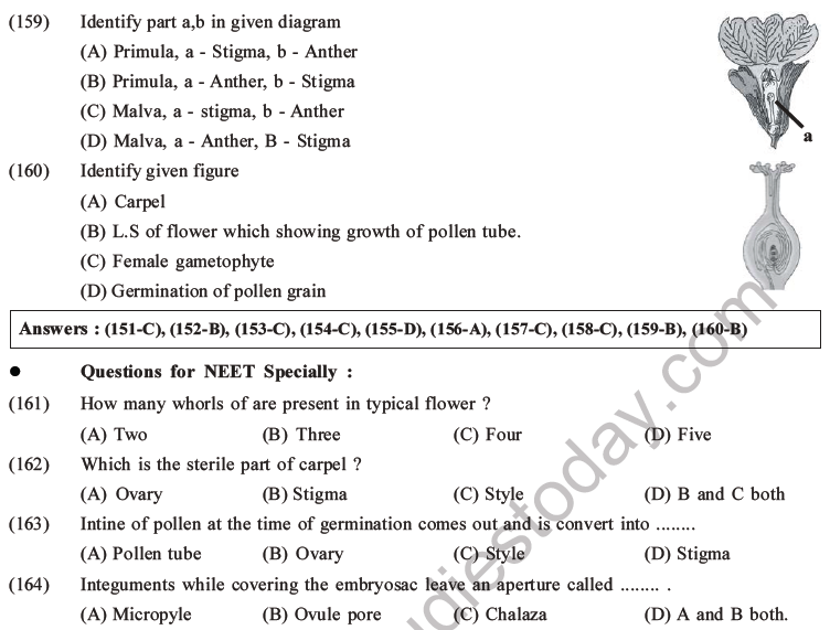NEET Biology Reproduction in Flowering Plants MCQs Set A-31