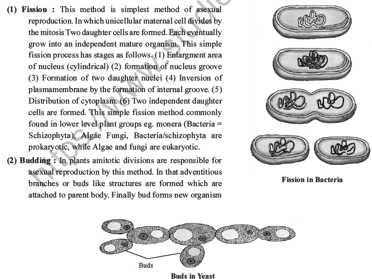 NEET Biology Reproduction in Organisms MCQs Set A-12