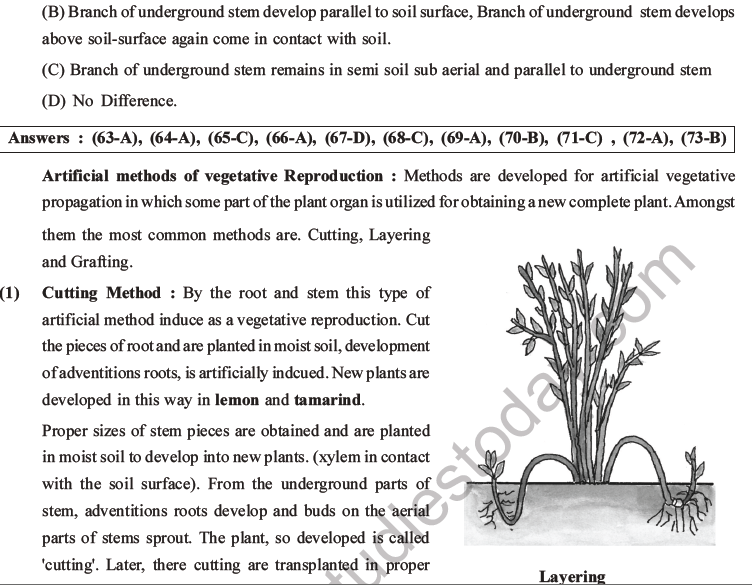 NEET Biology Reproduction in Organisms MCQs Set A-25