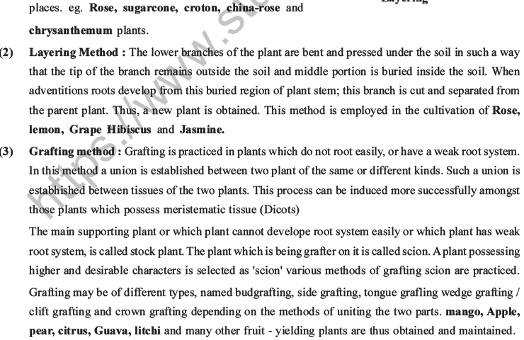 NEET Biology Reproduction in Organisms MCQs Set A-26