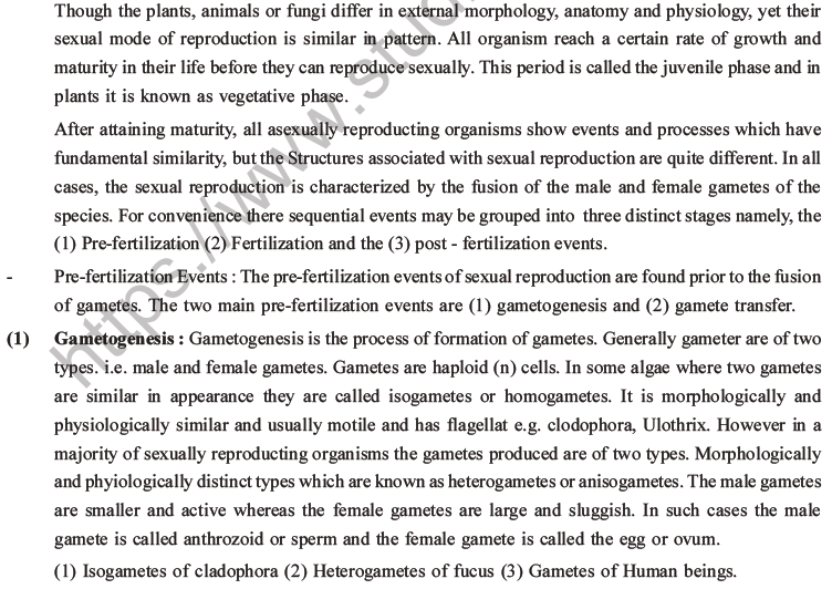 NEET Biology Reproduction in Organisms MCQs Set A-30