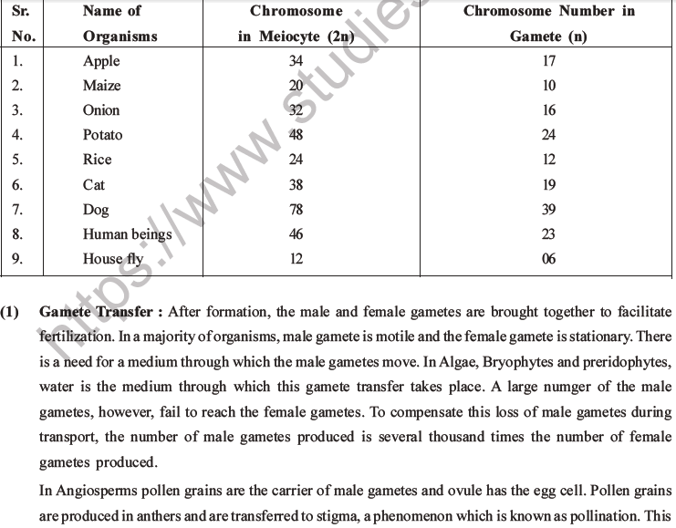 NEET Biology Reproduction in Organisms MCQs Set A-32