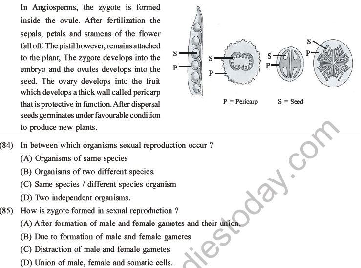 NEET Biology Reproduction in Organisms MCQs Set A-35