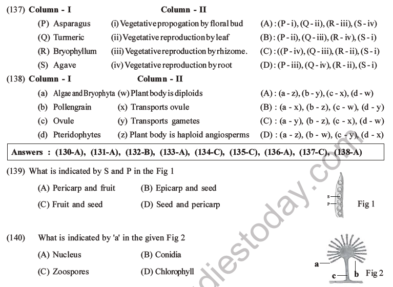 NEET Biology Reproduction in Organisms MCQs Set A-47