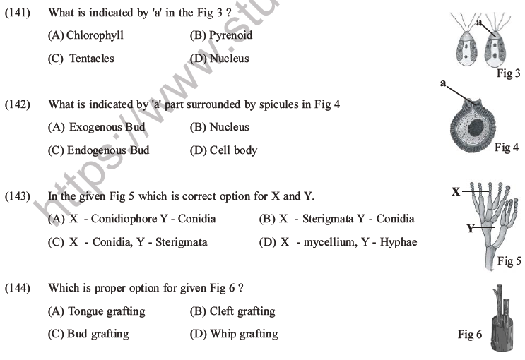 NEET Biology Reproduction in Organisms MCQs Set A-48