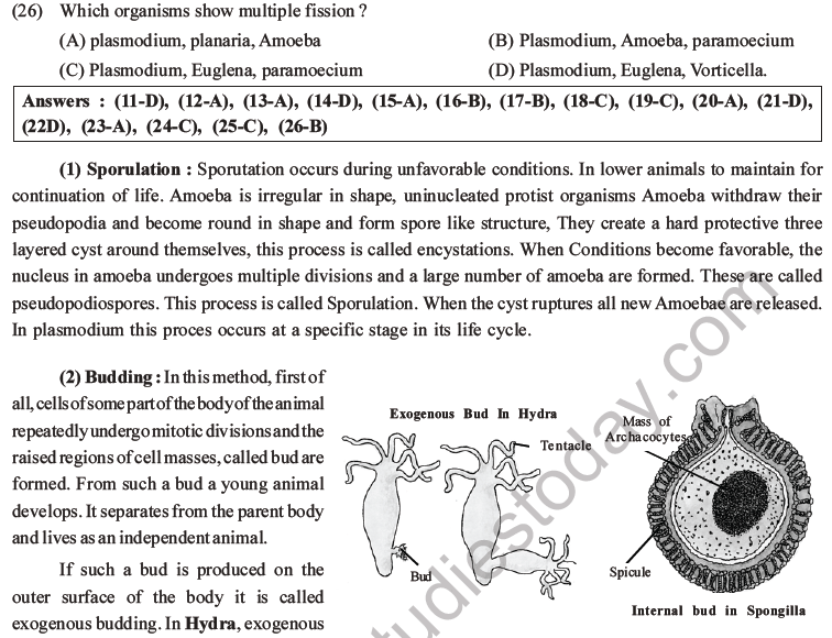 NEET Biology Reproduction in Organisms MCQs Set A-7