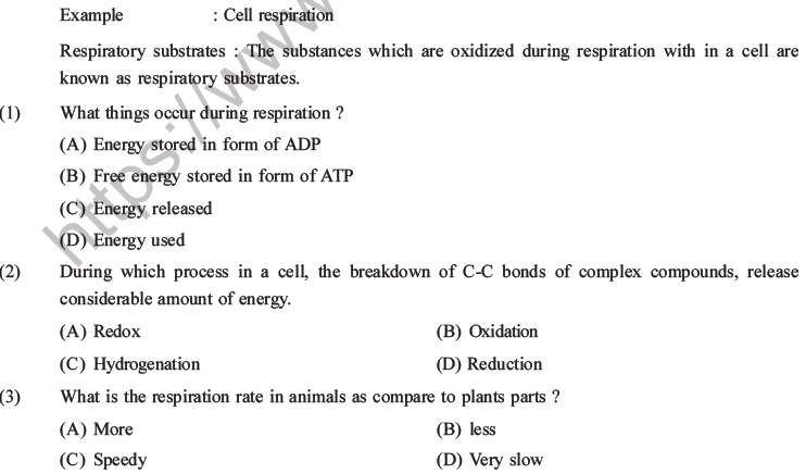 NEET Biology Respiration MCQs Set A-