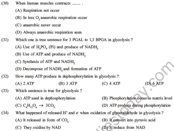 NEET Biology Respiration MCQs Set A-11