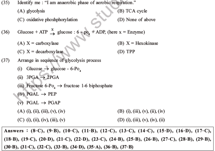 NEET Biology Respiration MCQs Set A-12