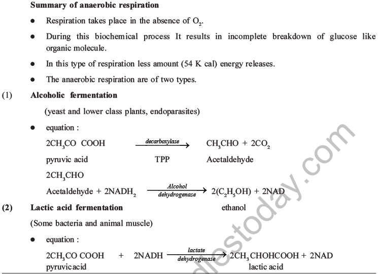 NEET Biology Respiration MCQs Set A-15