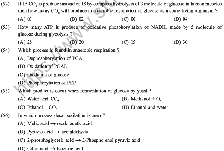 NEET Biology Respiration MCQs Set A-18