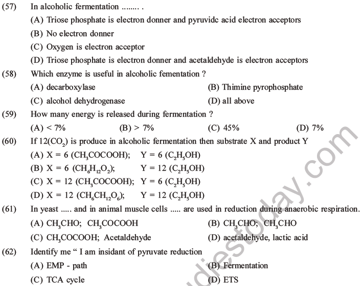 NEET Biology Respiration MCQs Set A-19