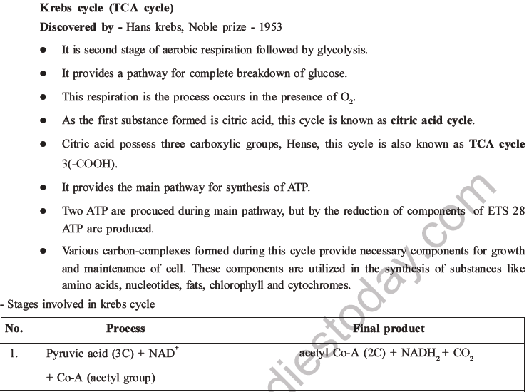 NEET Biology Respiration MCQs Set A-21