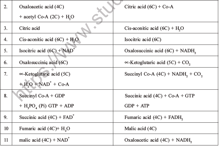 NEET Biology Respiration MCQs Set A-22