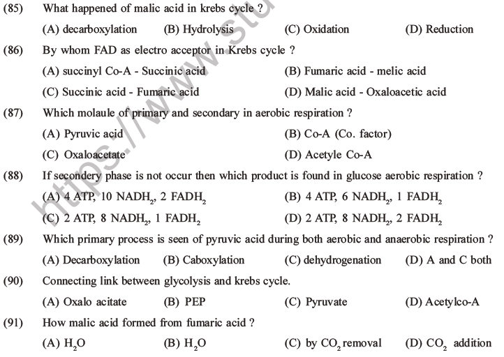 NEET Biology Respiration MCQs Set A-28