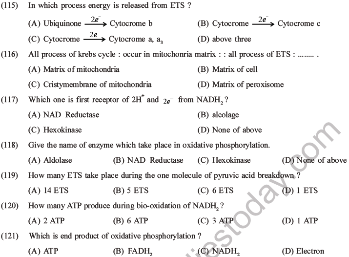 NEET Biology Respiration MCQs Set A-40