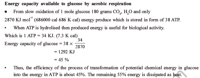 NEET Biology Respiration MCQs Set A-42