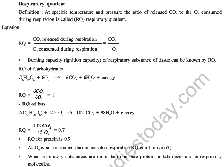 NEET Biology Respiration MCQs Set A-52