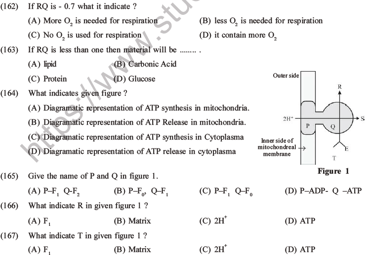 NEET Biology Respiration MCQs Set A-55