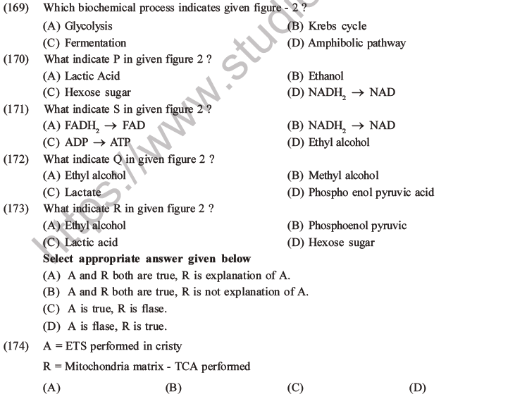 NEET Biology Respiration MCQs Set A-57